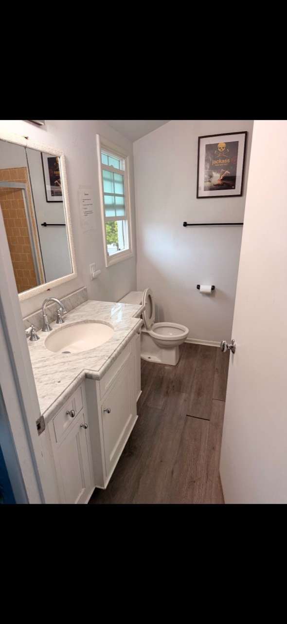 Bright Citronia Recovery bathroom with a marble-top vanity, mirror, toilet, and window